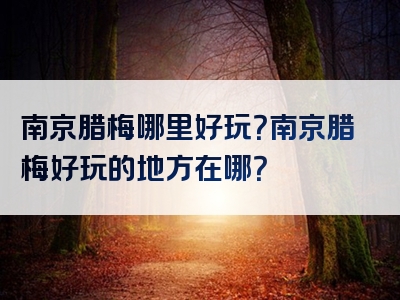 南京腊梅哪里好玩？南京腊梅好玩的地方在哪？