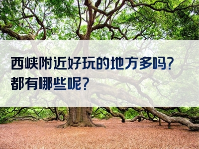 西峡附近好玩的地方多吗？都有哪些呢？