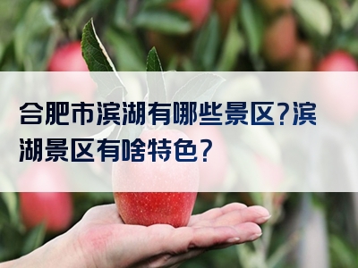 合肥市滨湖有哪些景区？滨湖景区有啥特色？