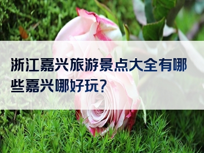 浙江嘉兴旅游景点大全有哪些嘉兴哪好玩？