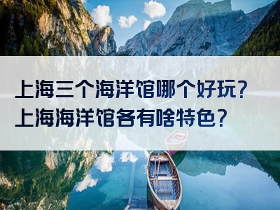上海三个海洋馆哪个好玩？上海海洋馆各有啥特色？