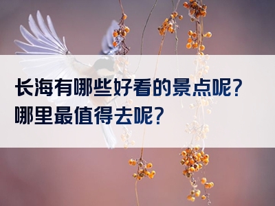 长海有哪些好看的景点呢？哪里最值得去呢？