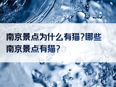 南京景点为什么有猫？哪些南京景点有猫？
