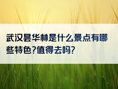 武汉昙华林是什么景点有哪些特色？值得去吗？