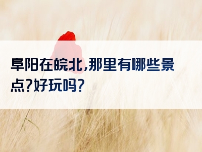 阜阳在皖北，那里有哪些景点？好玩吗？