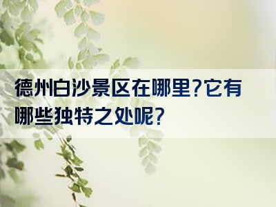德州白沙景区在哪里？它有哪些独特之处呢？