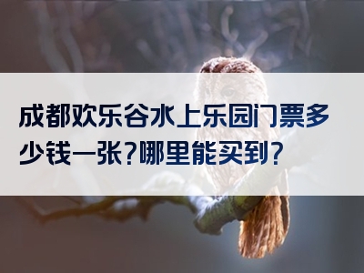 成都欢乐谷水上乐园门票多少钱一张？哪里能买到？