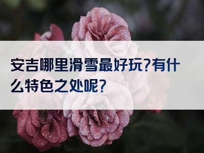 安吉哪里滑雪最好玩？有什么特色之处呢？