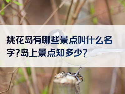 挑花岛有哪些景点叫什么名字？岛上景点知多少？
