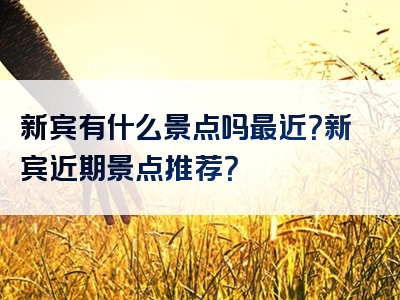 新宾有什么景点吗最近？新宾近期景点推荐？