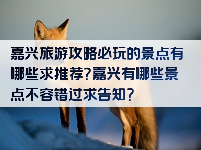 嘉兴旅游攻略必玩的景点有哪些求推荐？嘉兴有哪些景点不容错过求告知？
