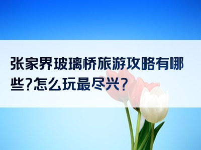 张家界玻璃桥旅游攻略有哪些？怎么玩最尽兴？