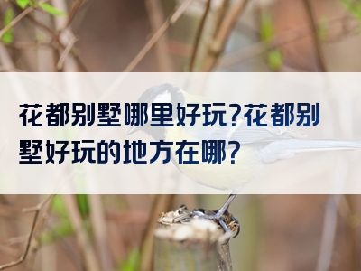花都别墅哪里好玩？花都别墅好玩的地方在哪？