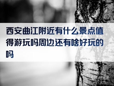 西安曲江附近有什么景点值得游玩吗周边还有啥好玩的吗