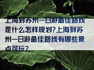 上海到苏州一日游最佳路线是什么怎样规划？上海到苏州一日游最佳路线有哪些景点可玩？
