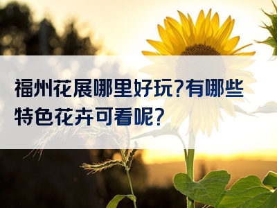 福州花展哪里好玩？有哪些特色花卉可看呢？