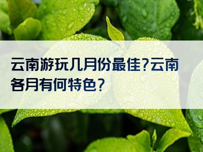 云南游玩几月份最佳？云南各月有何特色？