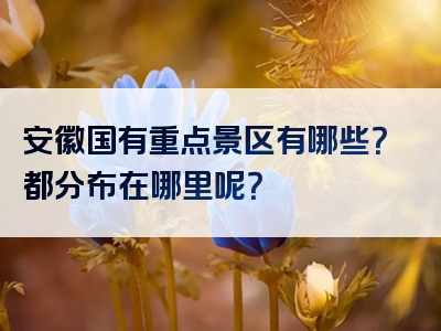安徽国有重点景区有哪些？都分布在哪里呢？