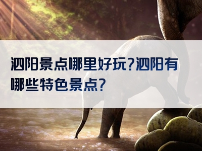 泗阳景点哪里好玩？泗阳有哪些特色景点？