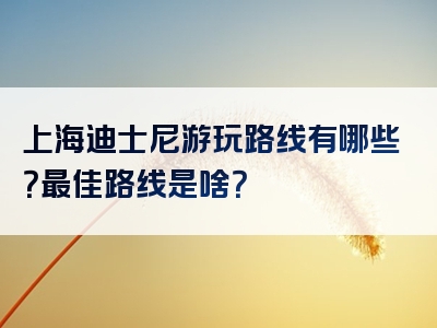 上海迪士尼游玩路线有哪些？最佳路线是啥？