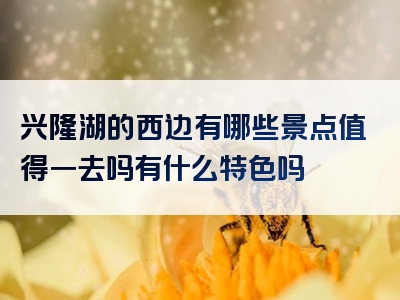 兴隆湖的西边有哪些景点值得一去吗有什么特色吗