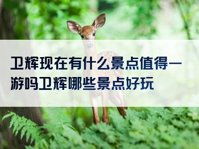 卫辉现在有什么景点值得一游吗卫辉哪些景点好玩