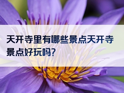 天开寺里有哪些景点天开寺景点好玩吗？