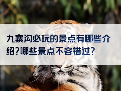 九寨沟必玩的景点有哪些介绍？哪些景点不容错过？