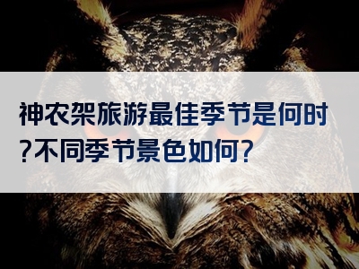 神农架旅游最佳季节是何时？不同季节景色如何？