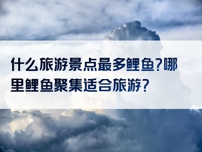 什么旅游景点最多鲤鱼？哪里鲤鱼聚集适合旅游？
