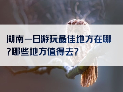 湖南一日游玩最佳地方在哪？哪些地方值得去？
