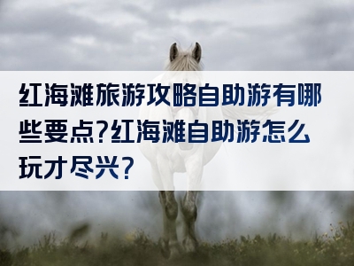 红海滩旅游攻略自助游有哪些要点？红海滩自助游怎么玩才尽兴？