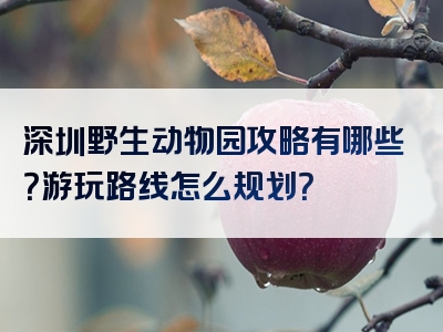 深圳野生动物园攻略有哪些？游玩路线怎么规划？