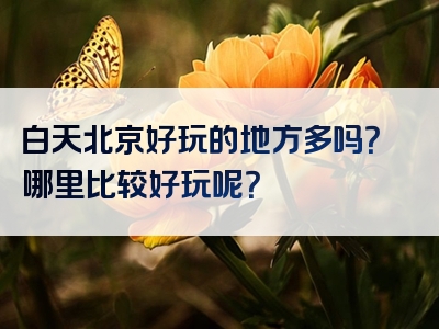 白天北京好玩的地方多吗？哪里比较好玩呢？