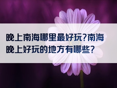 晚上南海哪里最好玩？南海晚上好玩的地方有哪些？