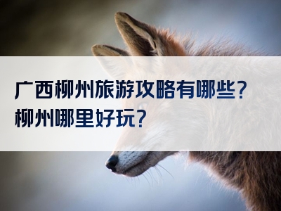 广西柳州旅游攻略有哪些？柳州哪里好玩？