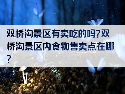 双桥沟景区有卖吃的吗？双桥沟景区内食物售卖点在哪？