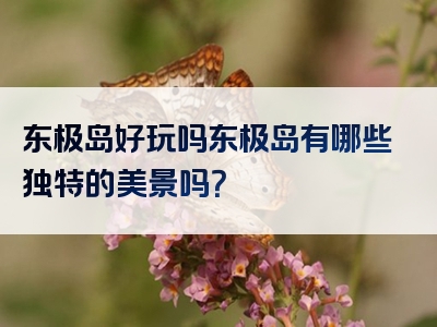 东极岛好玩吗东极岛有哪些独特的美景吗？