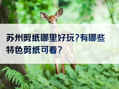 苏州剪纸哪里好玩？有哪些特色剪纸可看？