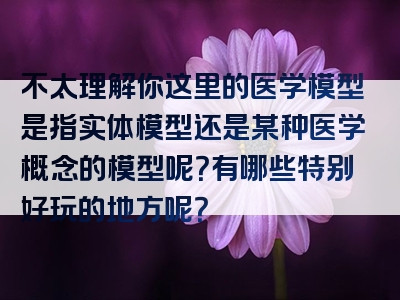 不太理解你这里的医学模型是指实体模型还是某种医学概念的模型呢？有哪些特别好玩的地方呢？