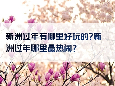新洲过年有哪里好玩的？新洲过年哪里最热闹？