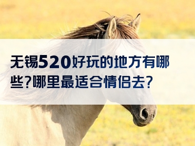 无锡520好玩的地方有哪些？哪里最适合情侣去？