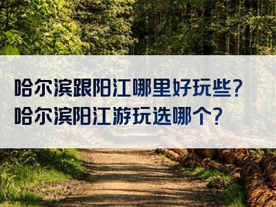 哈尔滨跟阳江哪里好玩些？哈尔滨阳江游玩选哪个？
