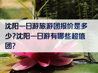 沈阳一日游旅游团报价是多少？沈阳一日游有哪些超值团？