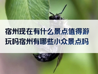 宿州现在有什么景点值得游玩吗宿州有哪些小众景点吗