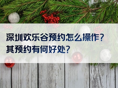 深圳欢乐谷预约怎么操作？其预约有何好处？