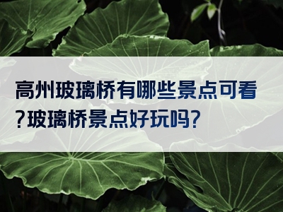 高州玻璃桥有哪些景点可看？玻璃桥景点好玩吗？