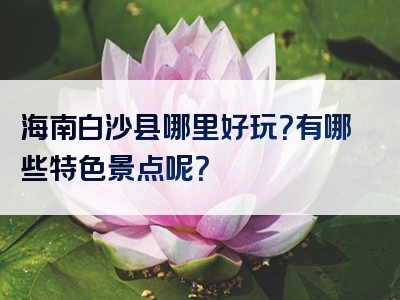 海南白沙县哪里好玩？有哪些特色景点呢？