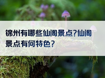 锦州有哪些仙阁景点？仙阁景点有何特色？