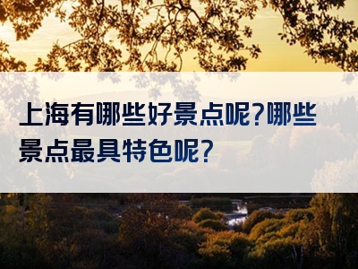 上海有哪些好景点呢？哪些景点最具特色呢？